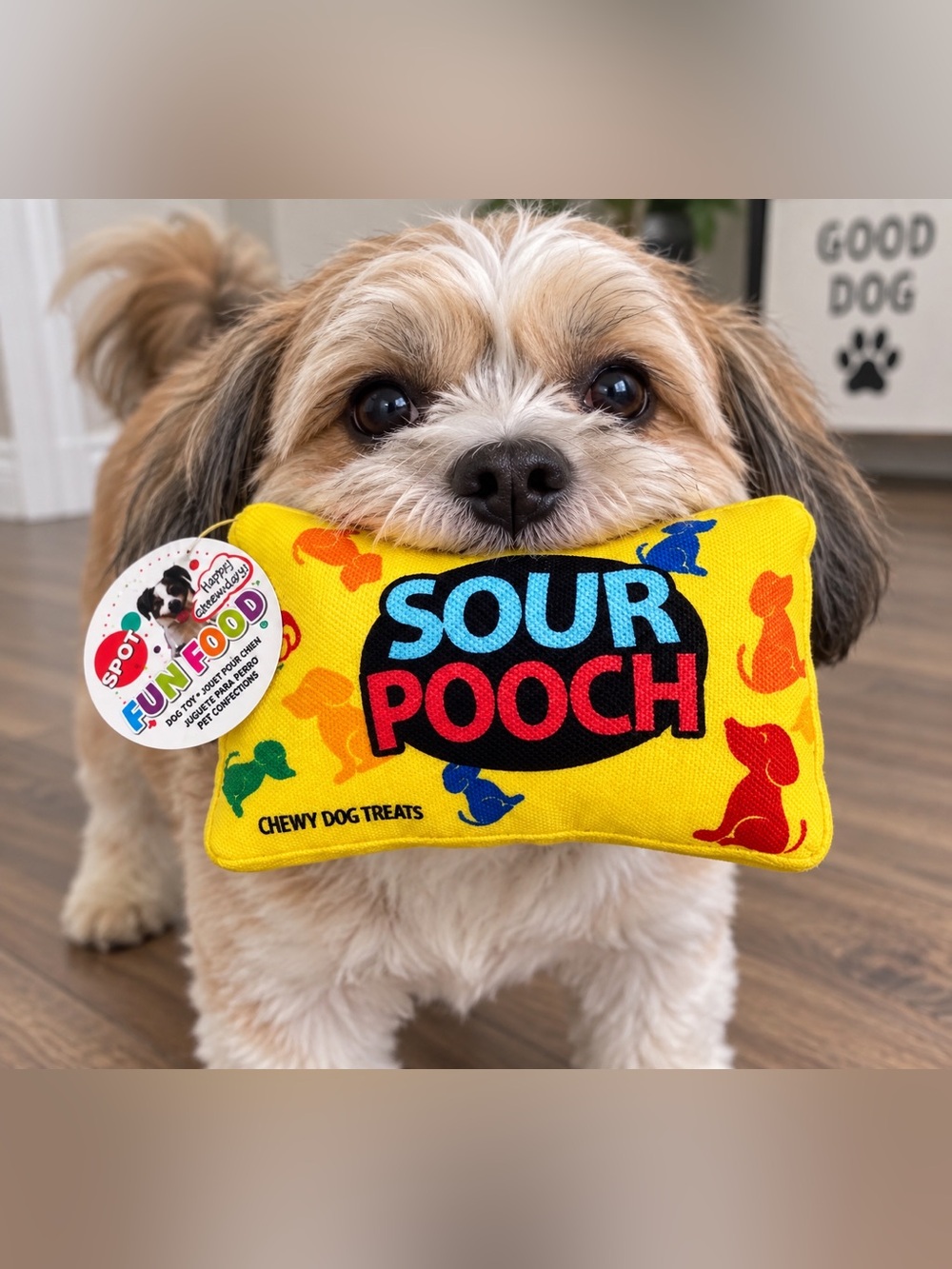 NEW SPOT Fun Food “Sour Pooch” Dog Toy | Plush Squeaky